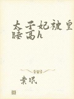 太子妃被皇上强睡高h