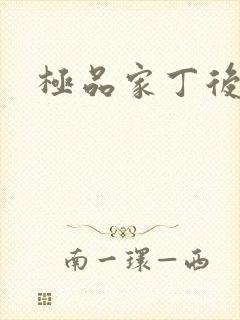 极品家丁后传