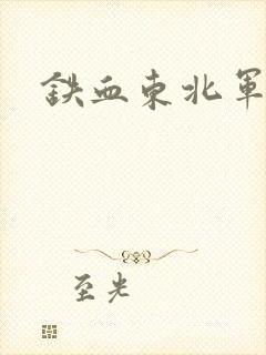 铁血东北军封面