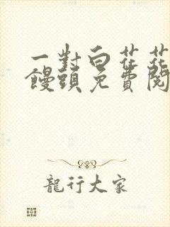 一对白花花的大馒头免费阅读封面