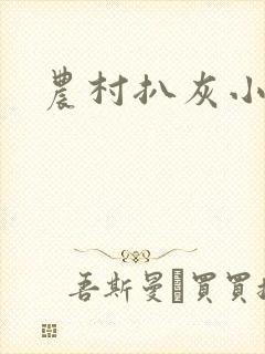 农村扒灰小说封面