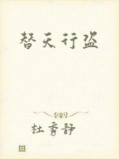 替天行盗