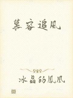 慕容追风封面