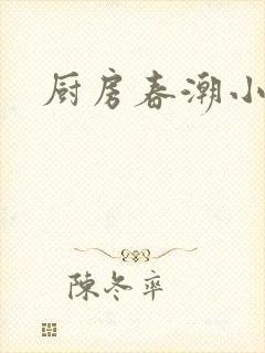 厨房春潮小说