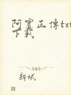 阿宾正传txt下载
