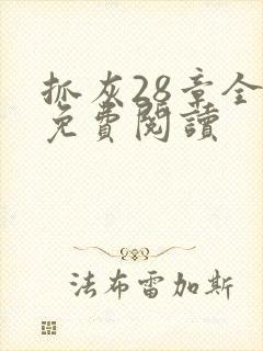 抓灰28章全部免费阅读