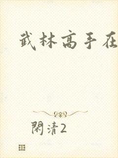 武林高手在异界