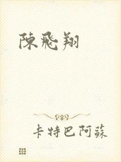 陈飞翔