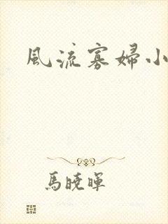 风流寡妇小说