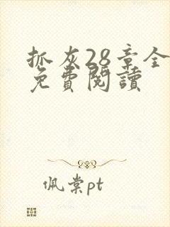 抓灰28章全部免费阅读