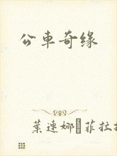 公车奇缘