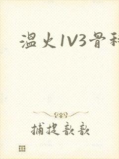 温火1V3骨科