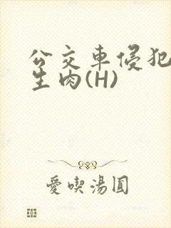 公交车侵犯小男生肉(H)