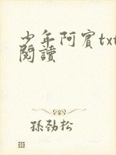 少年阿宾txt阅读封面