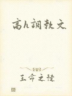 高h调教文封面