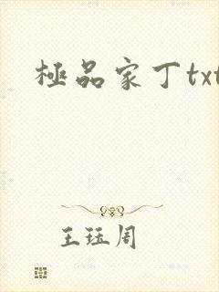 极品家丁txt封面