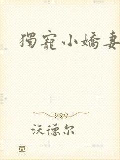 独宠小娇妻