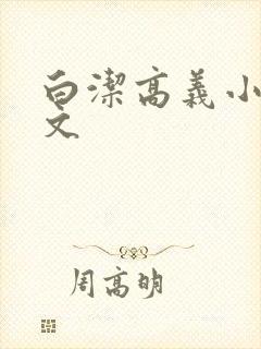 白洁高义小说全文
