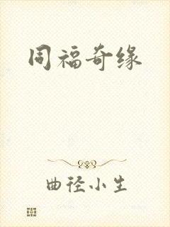 同福奇缘封面