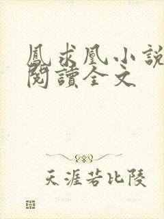 凤求凰小说免费阅读全文封面