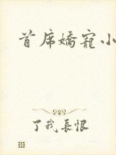 首席娇宠小情人