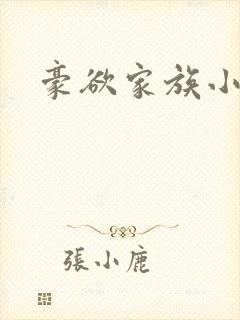 豪欲家族小说
