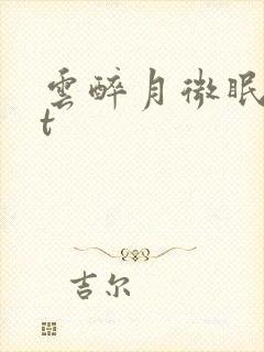 云醉月微眠txt
