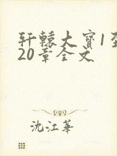 轩辕大宝1至720章全文封面