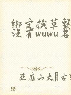 绑定挨草系统后没有wuwu名字