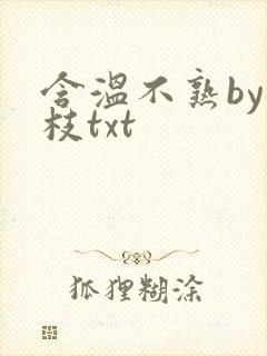 含温不熟by词枝txt封面