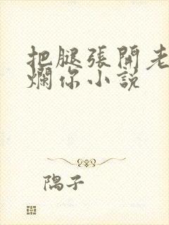 把腿张开老子臊烂你小说