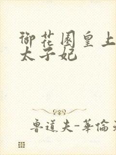 御花园皇上撞着太子妃