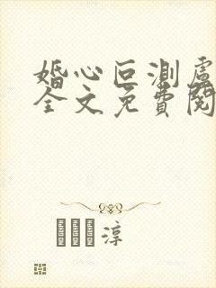 婚心叵测卢丹妮全文免费阅读小说封面