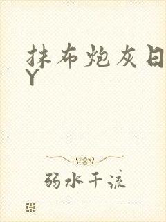 抹布炮灰日记BY