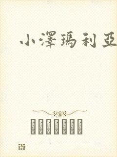 小泽玛利亚作品封面
