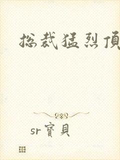 总裁猛烈顶弄h