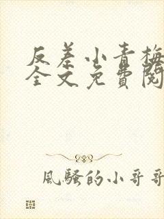 反差小青梅小说全文免费阅读