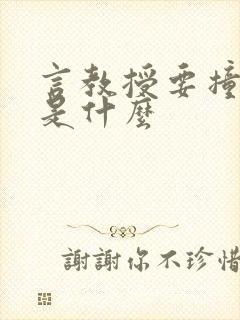 言教授要撞坏了是什么
