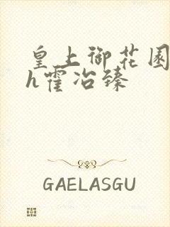 皇上御花园hlh霍冶臻封面