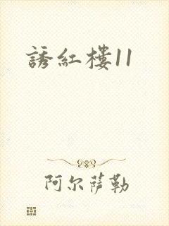 诱红楼11