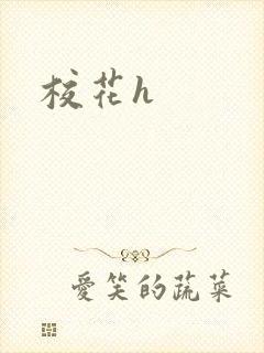 校花h