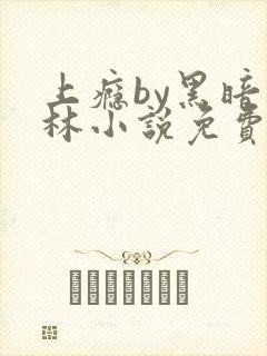 上瘾by黑暗森林小说免费
