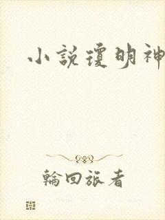 小说琼明神女录封面