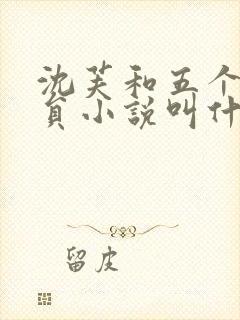 沈芙和五个消防员小说叫什么