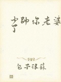 少帅你老婆又跑了