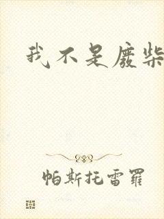 我不是废柴