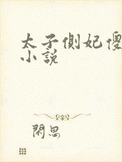 太子侧妃傻乎乎小说