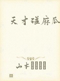 天才碰麻瓜封面
