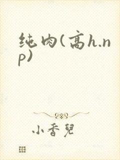 纯肉(高h.np)