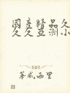 国产精品久久久久久亚洲小说